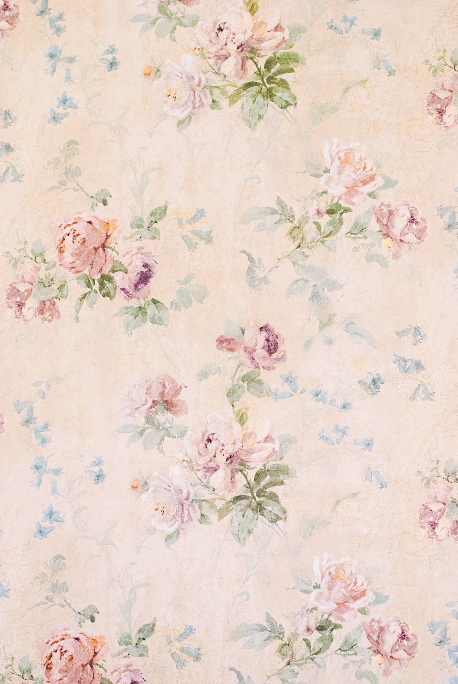 Vintage Background with Roses - Floral Illustration